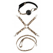 Эротическая игра Master Slave с аксессуарами