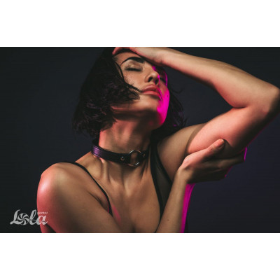 Черный ошейник Intrigue Черный ошейник Intrigue