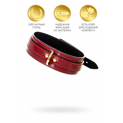 Красный ошейник из лакированного материала Красный ошейник из лакированного материала