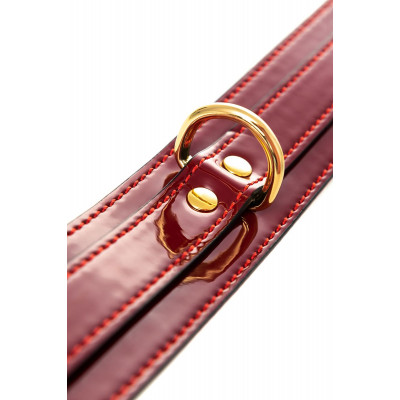 Красный ошейник из лакированного материала Красный ошейник из лакированного материала