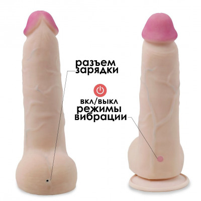 Телесный перезаряжаемый вибратор-реалистик из неоскин - 22 см. Телесный перезаряжаемый вибратор-реалистик из неоскин - 22 см.