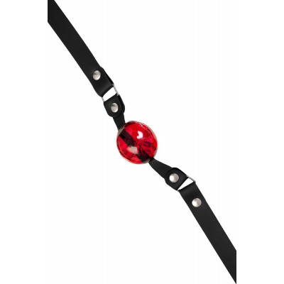 Красный кляп-леденец на кожаных ремешках Красный кляп-леденец на кожаных ремешках