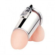 Серебристая сплошная клетка для фаллоса Ultimate Cock Tease Cage