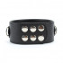 Чёрный кожаный ошейник с кольцами и клёпками Чёрный кожаный ошейник с кольцами и клёпками
