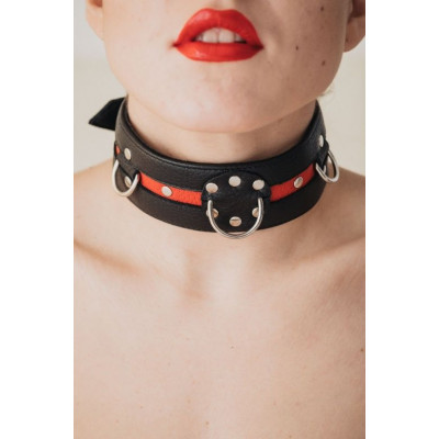 Черно-красный ошейник на пряжке Черно-красный ошейник на пряжке