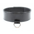 Черный лаковый ошейник на пряжке Черный лаковый ошейник на пряжке