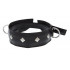 Полиуретановый ошейник с пуклями и D-кольцами Collar with Studs Полиуретановый ошейник с пуклями и D-кольцами Collar with Studs
